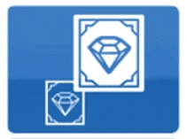 Big Symbol Pirots X.
