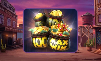Collected Coin Symbol Pirots 3.